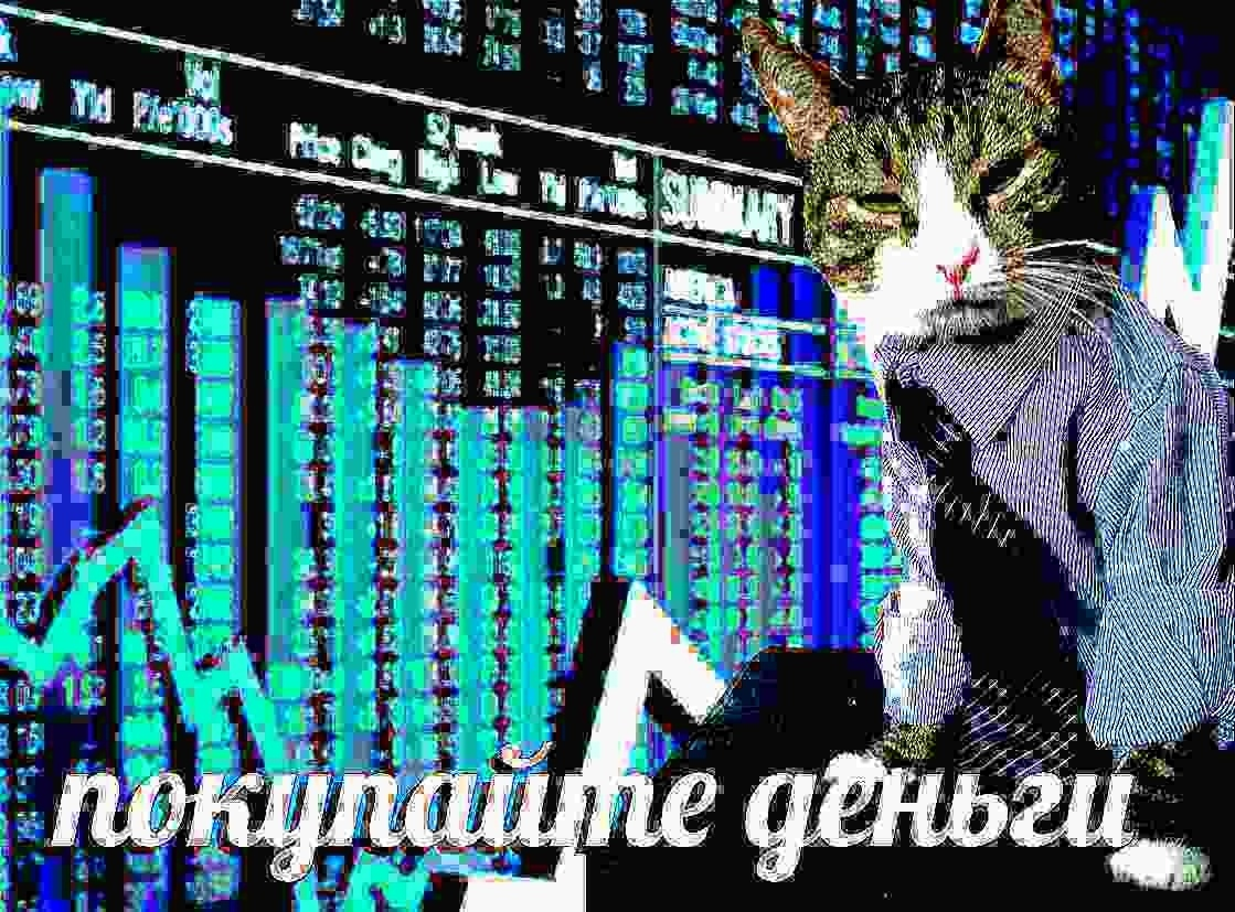 Кот на фоне биржевого табло, подпись «покупайте деньги»